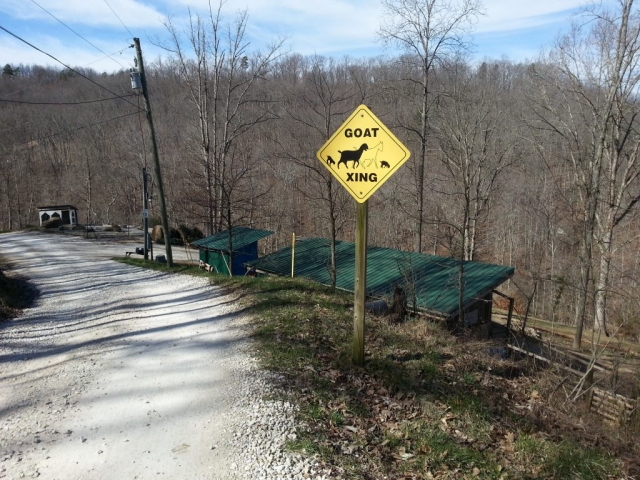 On the road to the guest house - Goat Barn below