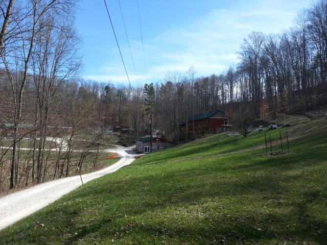 On the road to the Church - beehives on the right