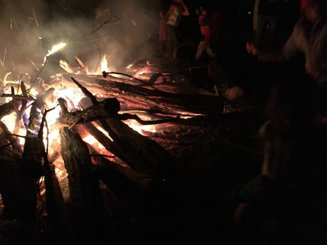 A Beautiful Fire!